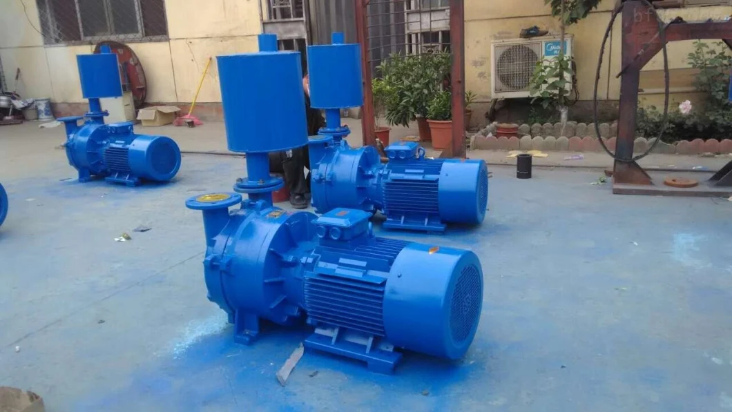 Liquid (Water) Ring Vacuum Pump (2BV2 060 061 070 071, 2BV5 110 111 121 131 161, 2BV6 110 111, 121 131 161)