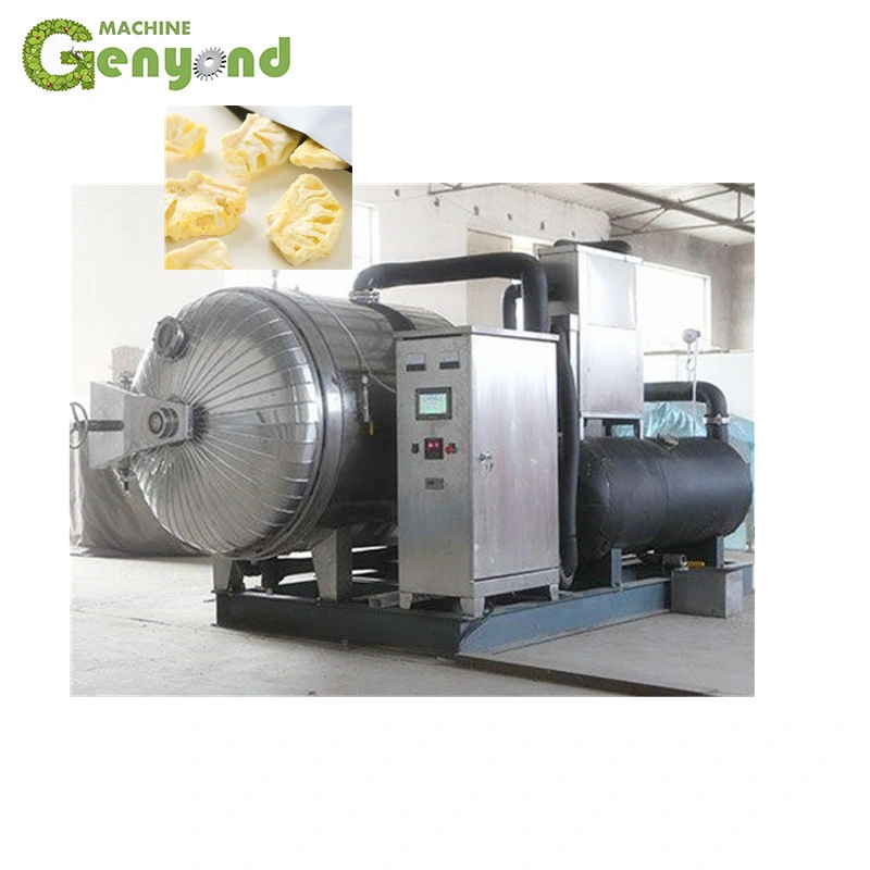 Fruit and Vegetable Lyophilizer/Freeze Dryer