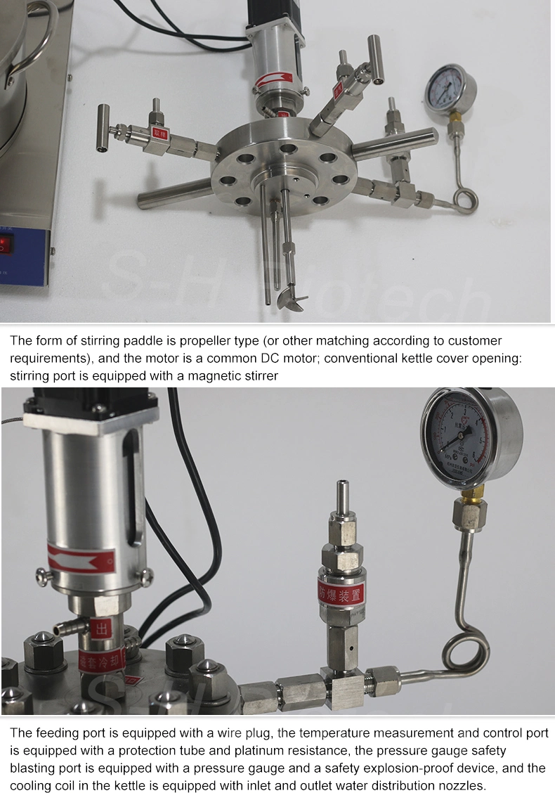 Lab Hydrothermal Synthesis Stirring Micro Autoclave Reactor