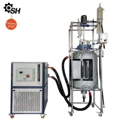 Reator encamisado para laboratório SH Biotech 1-200L para venda Reator de vidro duplo para laboratório com reator fotoquímico de agitação contínua